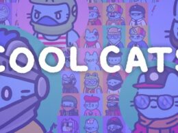 What is Cooltopia