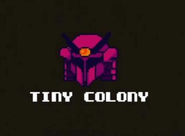 Everything About Tiny Colony P2E game