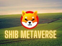 How To Buy Land in Shiba Inu Metavers